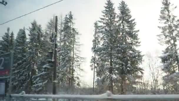 雪だるまのおとぎ話への冬の列車の旅 移動する車両の窓から雪に覆われたタギの森へ 雪の下の白い雪の漂流 スプルース 松の木 カレリアの自然 — ストック動画