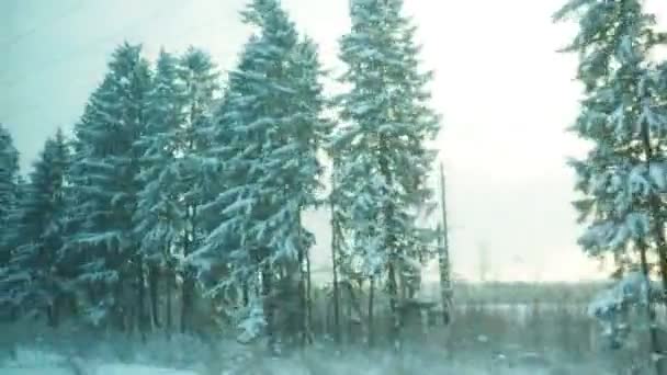 Karlı Bir Peri Masalına Kış Treni Yolculuğu Hareket Eden Bir — Stok video