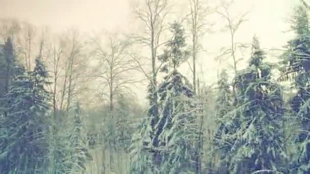 Wintertreinreis Naar Een Sprookje Met Sneeuw Uitzicht Vanuit Het Raam — Stockvideo