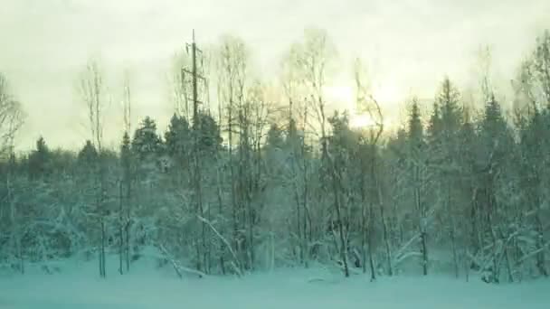 Χειμερινό Τρένο Ταξίδι Ένα Χιονισμένο Παραμύθι Θέα Από Παράθυρο Ενός — Αρχείο Βίντεο