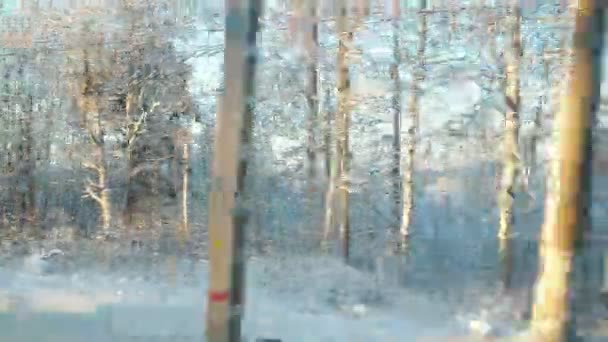 冬天的火车旅行变成了一个雪白的童话 从一辆移动的汽车的窗户向覆盖着积雪的针叶林望去 白雪覆盖下的雪地 云杉和松树 卡累利阿的性质 — 图库视频影像