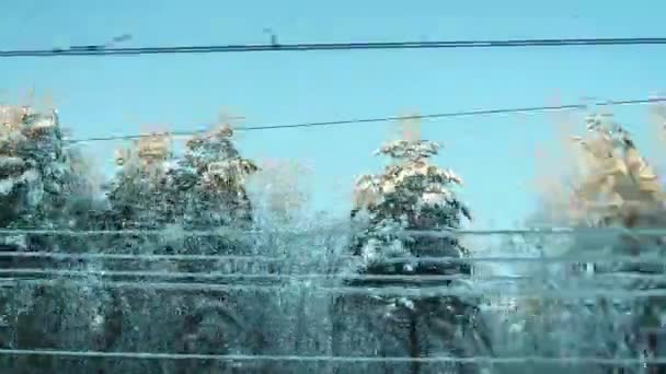 Zimowa Podróż Pociągiem Śnieżnej Bajki Widok Okna Jadącego Pojazdu Pokryty — Wideo stockowe