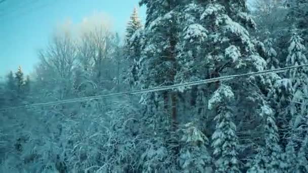 Zimní Cesta Vlakem Zasněžené Pohádky Pohled Okna Jedoucího Vozidla Zasněžený — Stock video