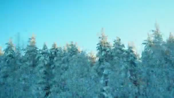 Viaje Tren Invierno Cuento Hadas Nevado Vista Desde Ventana Vehículo — Vídeo de stock