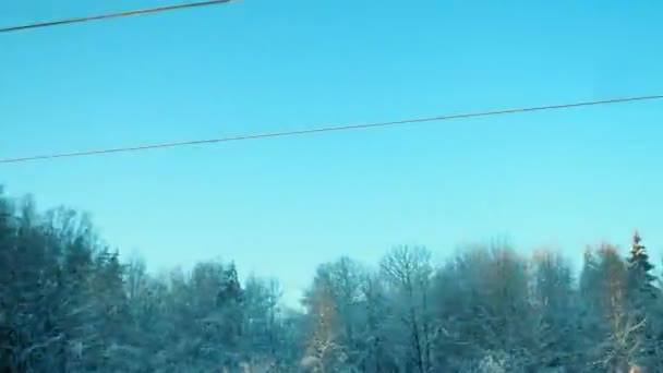 Vintertåg Resa Snöig Saga Utsikt Från Fönstret Ett Fordon Rörelse — Stockvideo