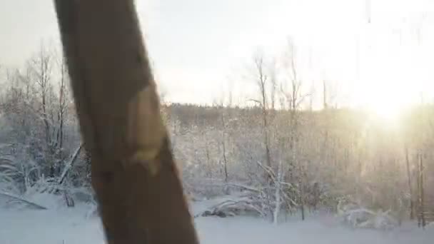 Зимовий Поїзд Подорожує Сніжну Казку Вид Вікна Транспортного Засобу Рухається — стокове відео