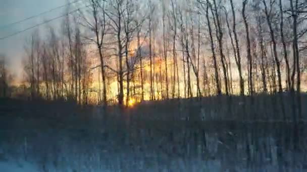 Пригород Санкт Петербурга Зимой Утром Окно Движущегося Пассажирского Поезда Туризм — стоковое видео
