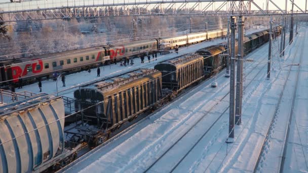 Szvir Oroszország Szvir Vasútállomás Oktyabrszkaja Vasúton Vasúti Személyszállító Vonatok Emberek — Stock videók