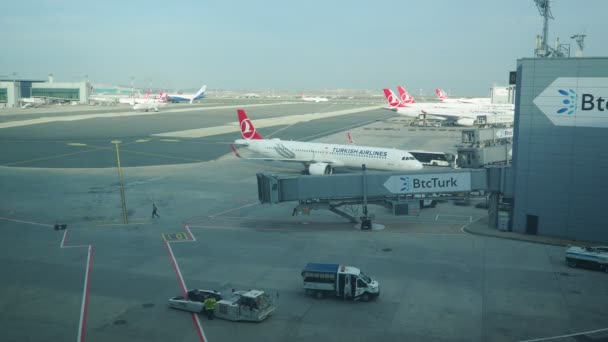 Istanbul Turkey Runway Territory International Airport Istanbul Havalimani Turkish Airlines — Stock Video