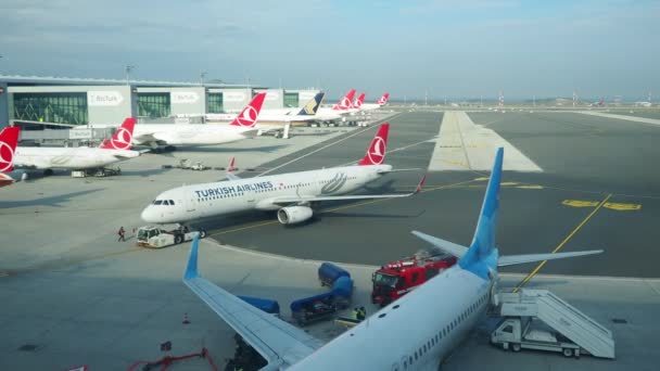 土耳其伊斯坦布尔01 伊斯坦布尔国际机场的领土 土耳其航空公司的飞机抵达飞机 准备卸货乘客和行李 — 图库视频影像
