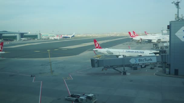 Istanbul Turkiet Landningsbana Den Internationella Flygplatsen Istanbul Havalimani Turkish Airlines — Stockvideo