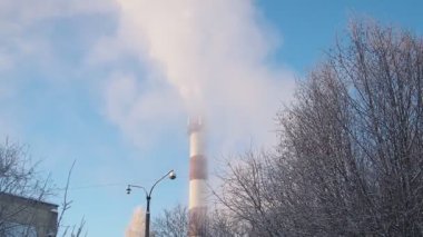 Fabrika bacasından duman çıkıyor. Ekolojik kirlilik. Hava emisyonları ormanı kirletiyor. Endüstriyel atıklar Sanayi metalürjik bitki emisyonları. Sis ve kötü ekoloji. CHP 'nin kışın merkezi ısıtması