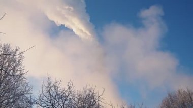 Fabrika bacasından duman çıkıyor. Ekolojik kirlilik. Hava emisyonları ormanı kirletiyor. Endüstriyel atıklar Sanayi metalürjik bitki emisyonları. Sis ve kötü ekoloji. CHP 'nin kışın merkezi ısıtması