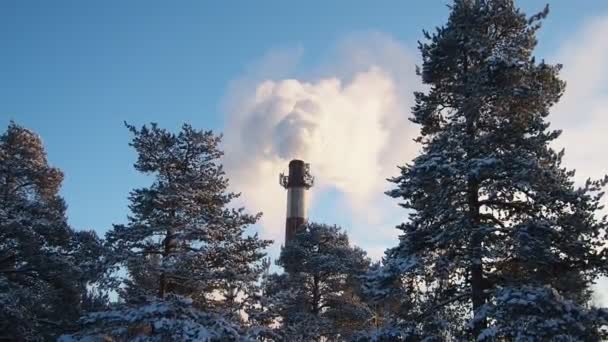 Rook Uit Een Fabrieksschoorsteen Ecologische Vervuiling Luchtemissies Vervuilend Bos Industrieel — Stockvideo