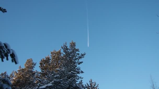 Het Vliegtuig Vliegt Door Blauwe Lucht Dennenbos Winter Tijdens Dag — Stockvideo