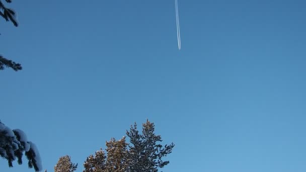 Samolot Przelatuje Przez Błękitne Niebo Sosnowy Las Zimie Ciągu Dnia — Wideo stockowe