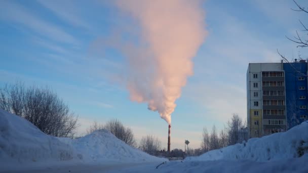 工場の煙突からの煙 環境汚染 森林を汚染する大気汚染 産業廃棄物について 工業用冶金プラントの排出量 スモッグと悪いエコロジー 冬の温暖化について — ストック動画