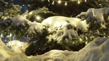 Cozy dark winter night. Illumination on the street, yellow lights of garlands. Snow covered branch of Christmas tree. Snowy evening. Festive illumination fir spruce branch on New Year's Eve. Snowfall.