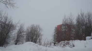 Kış bulutlu bir gün. Yüksek kar örtüsü. Şehir parkında kar yağışı. Hava tahmini. Beyaz, hafif kar ve kar yığınları. Kar taneleri rüzgarın arzusuyla güzel uçar. Mevsimsel ve iklim değişiklikleri