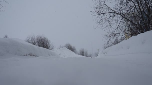 Día Nublado Invierno Cubierta Nieve Alta Nevadas Parque Ciudad Pronóstico — Vídeo de stock