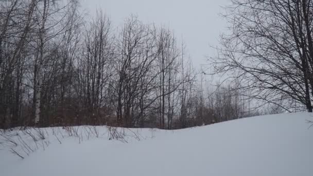 Dia Nublado Inverno Cobertura Neve Alta Uma Queda Neve Num — Vídeo de Stock