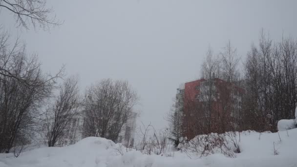 Vintergrumlig Dag Högt Snötäcke Snöfall Stadspark Väderprognos Vit Nysnö Och — Stockvideo