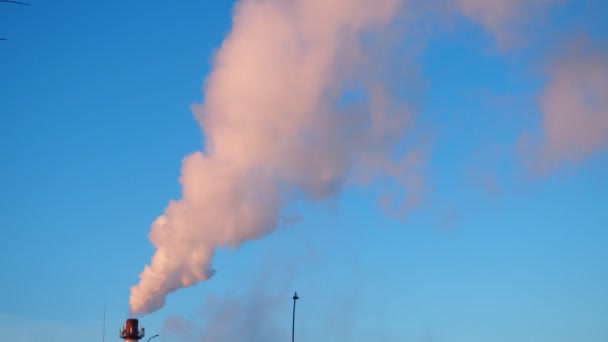 Fumée Une Cheminée Usine Pollution Écologique Émissions Atmosphériques Polluant Forêt — Video