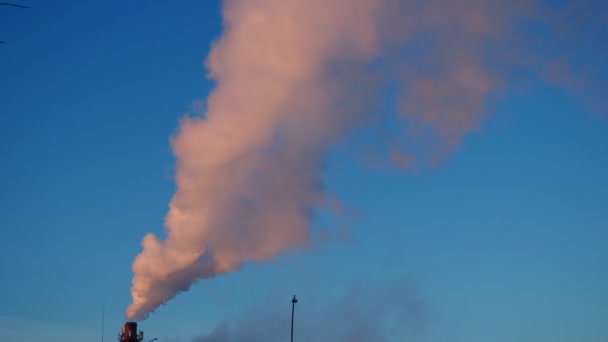 从工厂烟囱冒出的烟 生态污染 空气排放污染森林 工业废物 工业冶金设备排放 烟雾和恶劣的生态环境 冬季卫生防护中心集中供热 — 图库视频影像
