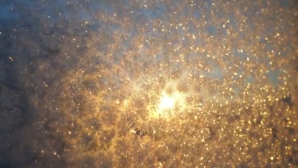 玻璃窗上的结霜现象是由于玻璃窗上的水蒸气在零度以下冷凝而产生的 卷曲和水晶 清晨黄橙低冬日在地平线上 — 图库视频影像