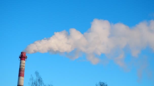 Καπνός Από Καμινάδα Εργοστασίου Οικολογική Ρύπανση Ατμοσφαιρικές Εκπομπές Ρυπαντικών Δασών — Αρχείο Βίντεο