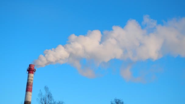 工場の煙突からの煙 環境汚染 森林を汚染する大気汚染 産業廃棄物について 工業用冶金プラントの排出量 スモッグと悪いエコロジー 冬の温暖化について — ストック動画