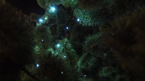 電気ライトガーランドは 電線の束で連続して接続された白熱ランプまたはLedのチェーンで構成される装飾的な装飾です クリスマスと年末年始 ツリー — ストック動画