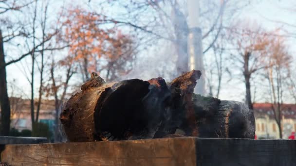 火事で燃えている煙のログ 市立公園の新年のクリスマスの装飾をお祝いします キリストの誕生の名の下にボンファイア 火と灰色の煙 シナモンワインを調理するための親切な木材 — ストック動画