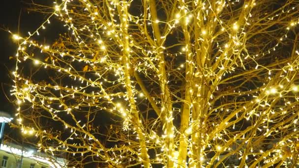 Nyår Eller Julstadens Nattgata Träd Ljusdesign Vindlande Gyllene Gula Kransar — Stockvideo