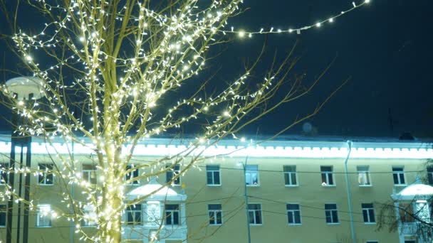 Nowy Rok Lub Boże Narodzenie Ulicy Nocnej Projekt Oświetlenia Drzew — Wideo stockowe