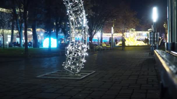 Sremska Mitrovica Servië Stadspark Stenen Bloemenfontein Nieuwjaar Kerst Bloemenslingers Hangen — Stockvideo