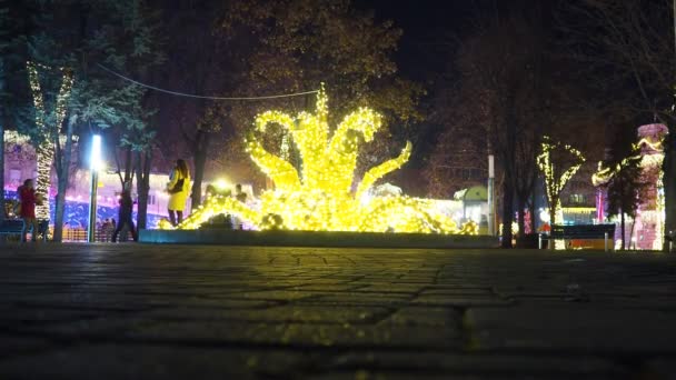 Sremska Mitrovica Serbia Fântâna Flori Parcului Orașului Ghirlandele Crăciun Anul — Videoclip de stoc