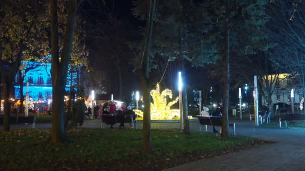 Sremska Mitrovica Serbia City Park Stone Flower Fountain New Year — Stock Video