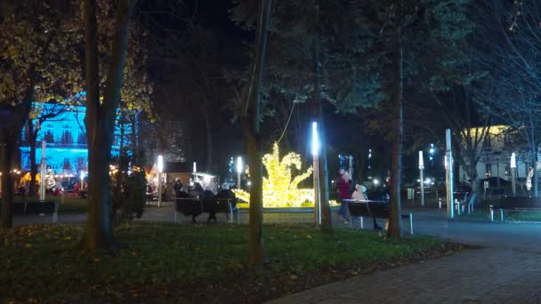 Sremska Mitrovica Serbia Ciudad Parque Piedra Fuente Flores Guirnaldas Navidad — Vídeo de stock