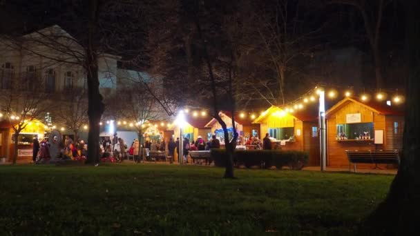 Sremska Mitrovica Serbia 2023 Julemarkedet Vinteren Sentrum Byparken Dekorasjoner Den – stockvideo