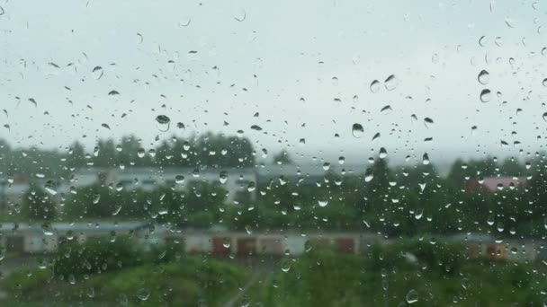雨の日にガラスの窓に雨が降る ウェットグラス ブレイクされた背景 窓の外に曇った空と木がある通り 夏に雨が降っている タイムトラフィック — ストック動画