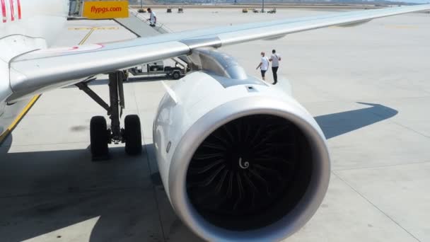 Międzynarodowy Port Lotniczy Sabiha Gokcen Turcja Pas Startowy Pegasus Samolot — Wideo stockowe