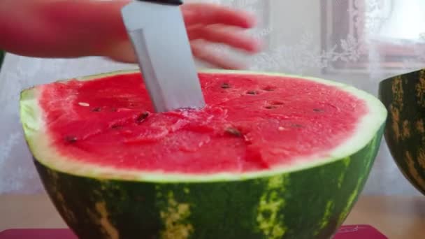 Las Manos Femeninas Cortan Rebanadas Jugosas Frescas Sandía Watermelon Citrullus — Vídeos de Stock