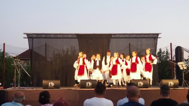 Sremska Mitrovica Serbia Dziewczyny Chłopcy Dzieci Tradycyjnych Serbskich Kostiumach Bałkańskich — Wideo stockowe