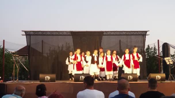 Sremska Mitrovica Srbsko Děti Tradičních Srbských Balkánských Kostýmech Tančí Kolo — Stock video