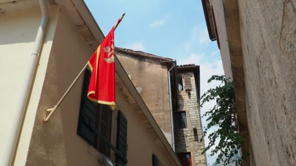 Національний Прапор Чорногорії Має Червоне Поле Золотим Кордоном Гербом Чорногорії — стокове відео