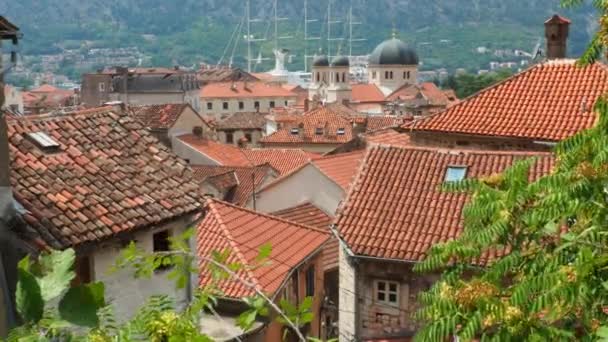 Kotor Egy Montenegrói Tengerparti Város Kotori Öböl Piros Csempés Tetők — Stock videók