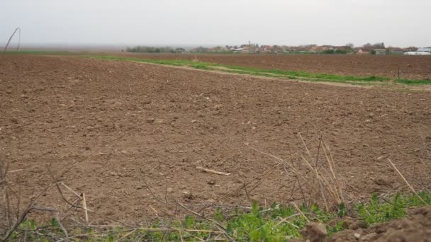 Een Tractor Geploegd Veld Chalma Servië Landbouwindustrie Landbouwgrond Vruchtbare Zwarte — Stockvideo