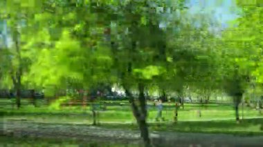 Brest, Belarus, 4.10.24: Brest bölgesinin idari merkezi olan Belarus 'un güneybatısında bir şehir. Otobüs penceresinden şehrin sokakları. Kentsel alanlar. Şehir mimarisi ve parkları. Bahar yeşili.