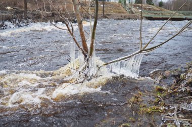 Buz katı bir kümelenme halindeki sudur. Suyun yakınındaki ağaç dallarında buz sarkıtları ve sarkıtlar. Bahar baskını. Su, bir kristal modifikasyonunun kristallerini oluşturur - altıgen sistem.